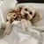 Pam Hinson's profile image