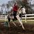 Amanda Poston's profile image