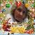 Barbara Guyer Stump's profile image