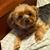 Vim Santos's profile image