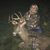 Autumn Jacobs's profile image