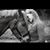 Mariah Weddington's profile image