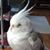 Stephanie Wilson's profile image