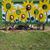 Ellen Bulford's profile image