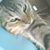 Osorio Cortes Natalio's profile image