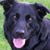 Leanne Reginelli Iversen's profile image