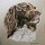Jana Jackson's profile image