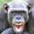 Tracie Drenk Rodgers's profile image