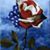 Sarah Carlton Hollis's profile image