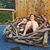 Stephanie Lowder's profile image