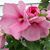 Karen Fuller's profile image
