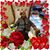 Blanca Nelly Avalos's profile image