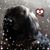 Ardella Roemhild's profile image