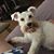 Norma J Hagan's profile image