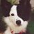 Eve Timmerhaus's profile image