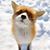 Todd A. Osborn's profile image