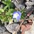 Deborah Yenchik's profile image