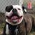 Gina Halcomb's profile image