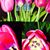 Debra Boyd's profile image
