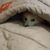Matthew Lee Kennedy's profile image