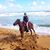 Erin C. Olson's profile image