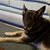 Teresa M. Alexander Arias's profile image