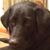 Cindy Curran's profile image