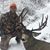 Derek Sobieski's profile image
