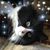 LuAnn Nagel Luckow's profile image