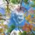 Sherra McLennan Richardson's profile image