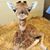 Magan Rickman's profile image