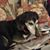 Sandra Oaks Backus's profile image