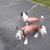 Cindy Michaud Andrews's profile image