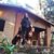 Olga Lopez Mijailidis's profile image