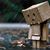 David Reed Sorenson's profile image