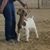 Tara Burk Jurica's profile image