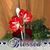 Rose Bygrace's profile image