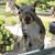 Nathaniel Yetman's profile image