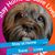 Jenny Swartz Drastura's profile image