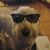 Dawn Pieczonka's profile image
