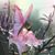 Donna Davis's profile image