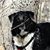 Paige Strayer's profile image