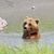 Tammy Lynn Gauthier's profile image