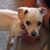 Herberta Lopez's profile image