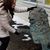 Debra Morris-Flagg's profile image