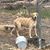 Ginger Hannon Jernigan's profile image