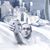 Dave Eckblad's profile image