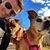Scott Schweiger's profile image