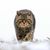 Andrea Simmons's profile image