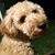 Janice R Harper's profile image